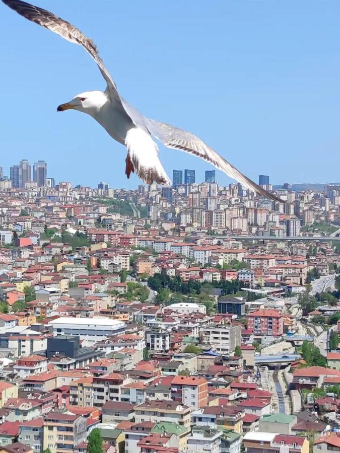 Magneficent Luxury Residence With Pool And Fitnes Istanbul Luaran gambar